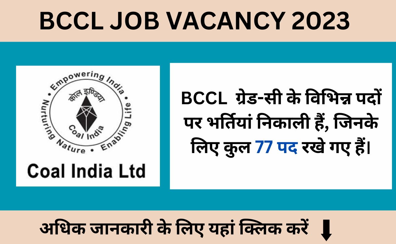 bccl job vacancy for grade c officer 2023